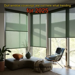 Read more about the article Dull window coverings are out  here what trending for 2025