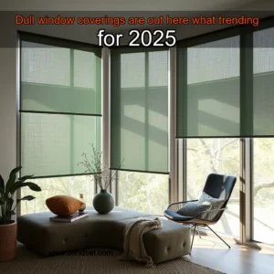Read more about the article Dull window coverings are out  here what trending for 2025