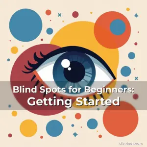Artistic representation for Blind Spots for Beginners: Getting Started